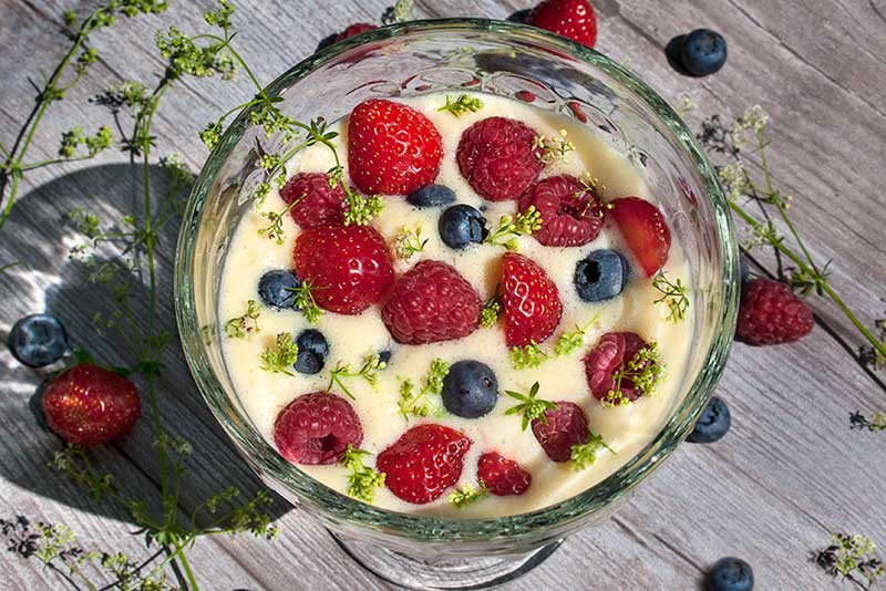 Beeren Weinschaum Labkraut